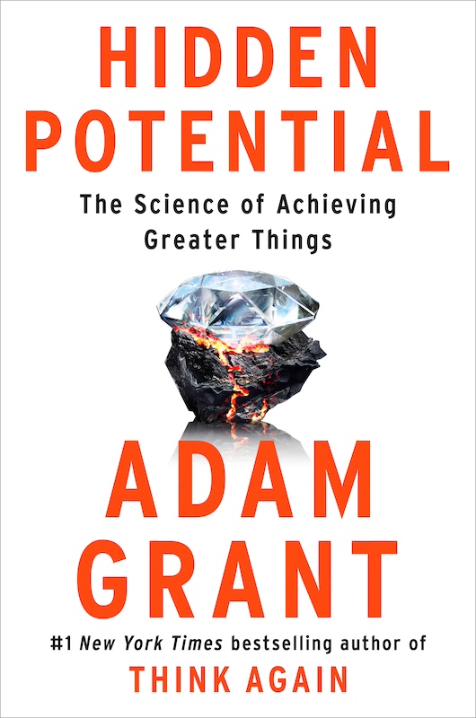 Hidden potential - cover.jpg